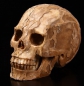 Preview: Skull Jaspis 3D Carved