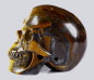 Preview: Tigerauge Skull