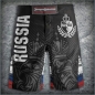 Preview: Fightherland Fightshorts Russia