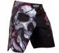 Preview: Venum Fightshorts Pirate 3.0