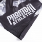 Preview: Phantom Fightshort "Storm Winter Camo"