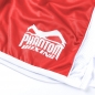 Preview: Phantom Boxing Shorts "Tactic" red