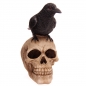 Preview: Totenkopf mit Rabe