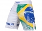 Preview: Venum Brazilian Fightshorts