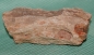 Preview: Versteinertes Holz Madagaskar