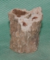 Preview: Versteinertes Holz Madagaskar