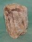 Preview: Versteinertes Holz Madagaskar