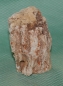 Preview: Versteinertes Holz Madagaskar