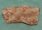 Preview: Versteinertes Holz Madagaskar