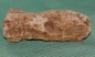 Preview: Versteinertes Holz Madagaskar