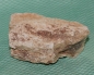 Preview: Versteinertes Holz Madagaskar