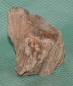 Preview: Versteinertes Holz Madagaskar
