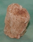 Preview: Versteinertes Holz Madagaskar