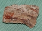 Preview: Versteinertes Holz Madagaskar