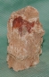 Preview: Versteinertes Holz Madagaskar