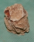 Preview: Versteinertes Holz Madagaskar