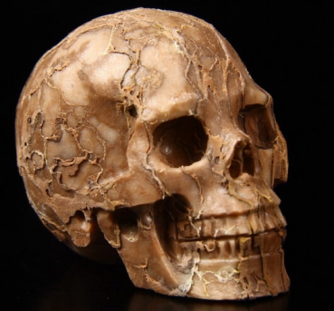 Skull Jaspis 3D Carved