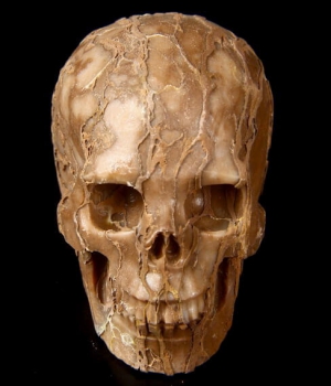 Skull Jaspis 3D Carved