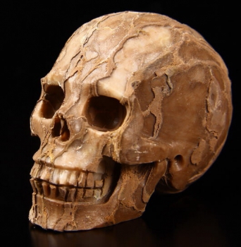 Skull Jaspis 3D Carved
