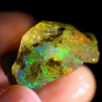 Rainbow Contraluz Welo Opal