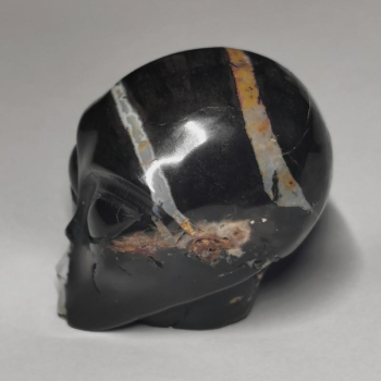 Achat Alien Skull