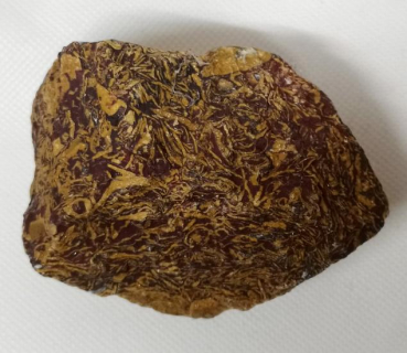 Elefantenjaspis Rohstein