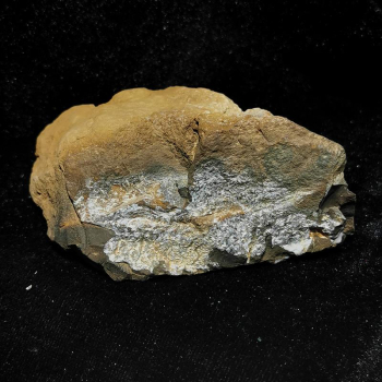 Opal-Matrix Rohstein