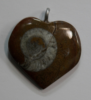 Ammoniten Herz Anhänger