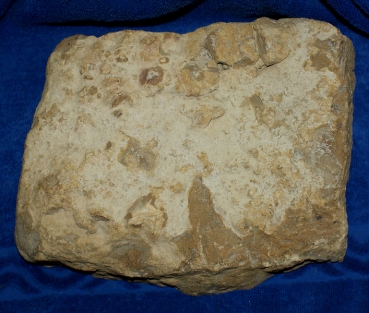 Fossilienjaspis Rohstein