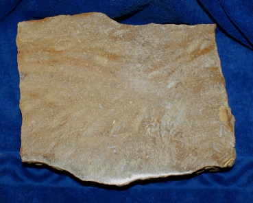 Fossilienjaspis Rohstein