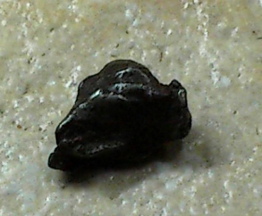 Meteorit Sikhote-Alin