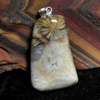 Versteinerte Koralle Anhänger