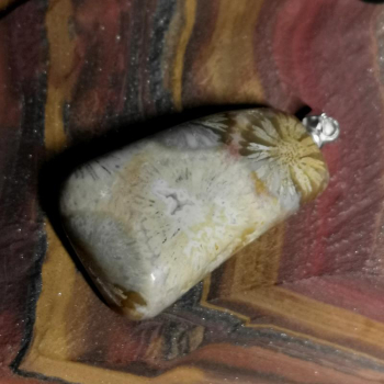 Versteinerte Koralle Anhänger