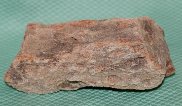 Versteinertes Holz Madagaskar