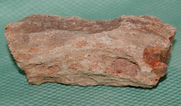 Versteinertes Holz Madagaskar