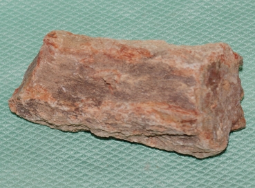 Versteinertes Holz Madagaskar