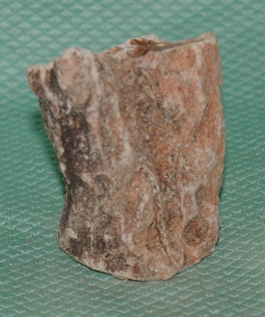 Versteinertes Holz Madagaskar