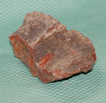 Versteinertes Holz Madagaskar
