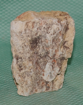 Versteinertes Holz Madagaskar