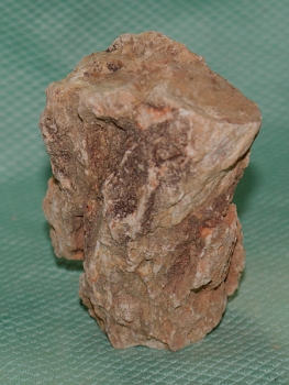 Versteinertes Holz Madagaskar