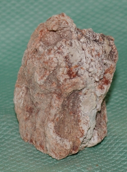 Versteinertes Holz Madagaskar