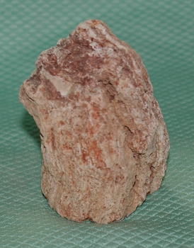 Versteinertes Holz Madagaskar