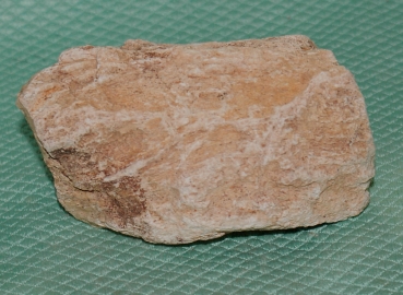 Versteinertes Holz Madagaskar