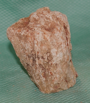 Versteinertes Holz Madagaskar