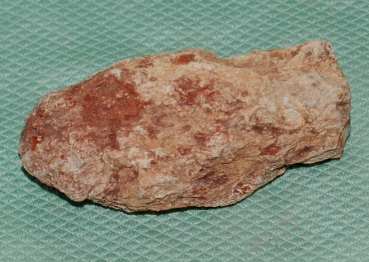 Versteinertes Holz Madagaskar