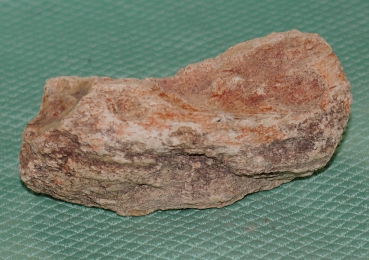 Versteinertes Holz Madagaskar