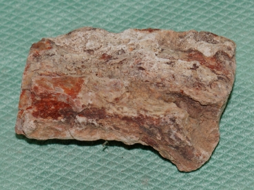 Versteinertes Holz Madagaskar