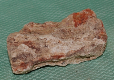 Versteinertes Holz Madagaskar