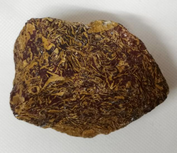 Elefantenjaspis Rohstein