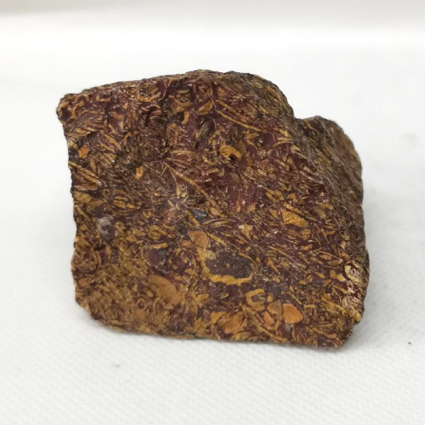 Maryam Jaspis Rohstein